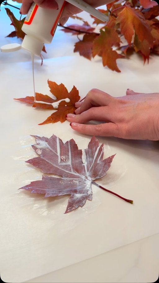 Real fall leaves are beautiful—and did you know you can preserve them with Gloss Mod Podge?

Coat one side, let it dry for about 30 minutes, flip it over, and coat the other side. It preserves the color and shape while keeping the leaves bendable and movable.

Turn them into garlands, ornaments, or use them throughout your fall, Halloween, and Thanksgiving decor without them crumbling, curling up, or turning brown. #leaves #trees #fall #decor #craft