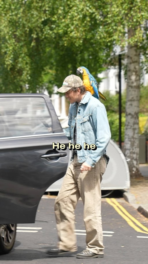 I ordered an Uber for the worlds rudest Parrot