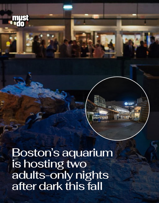 Boston, the aquarium is staying open late, and this one’s for the adults.

New England Aquarium is bringing back Aquarium After Dark for its final two events of the year on October 16 and November 20 from 6–9 PM.

Expect an after-hours trip through the Aquarium without the usual daytime crowds, with limited spots available for each night.

Tickets go on sale September 30.

By the way, we have a weekly newsletter rounding up what’s worth doing and knowing about in Boston. One newsletter. Once a week. Link in bio.

Media via @newenglandaquarium

#mustdoboston #bostonaquarium
