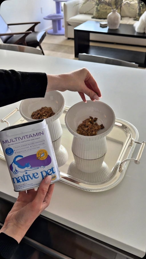 Breakfast is served 💅 Cleo & Clemmie LOVE their new multivitamin from @nativepet #AllCatsLoveNativePet #NativePetPartner #nativepet