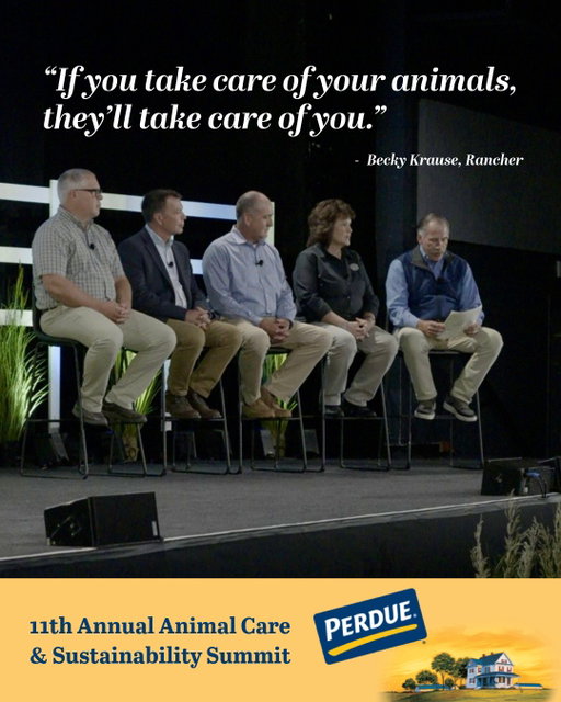 When our farmers succeed, we succeed.⁣
⁣
Many of the independent farm family partners we work alongside have cared for their land and animals for generations, and others are just starting their journey. Every one of them brings a valuable perspective that we can learn from.⁣
⁣
This week at our 11th annual Animal Care and Sustainability Summit, a panel of farmers and ranchers shared their stories, challenges and hopes for the future of agriculture. From advancing animal care to supporting regenerative farming practices, we're all working toward a common goal—leaving our farms and land better than we found them.