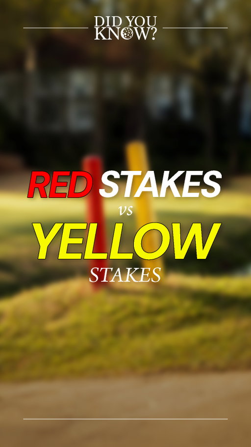 You ever come across a yellow penalty area? Do you know the rule? 🤔

It's ALMOST the same as a red penalty area, but can sometimes end up being MUCH worse!! ❌ #DidYouKnow