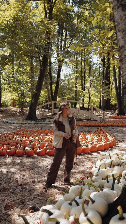 Happy October 1 to all who celebrate 🍂🍁🎃🤎

#fallishere #autumnishere #fallvibes #autumnvibes #autumn