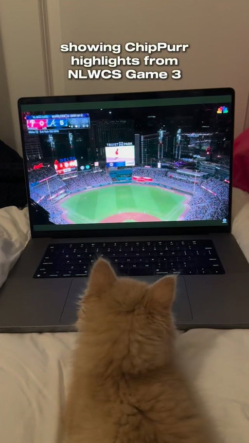ChipPurr was a big fan of your work tonight, @braves