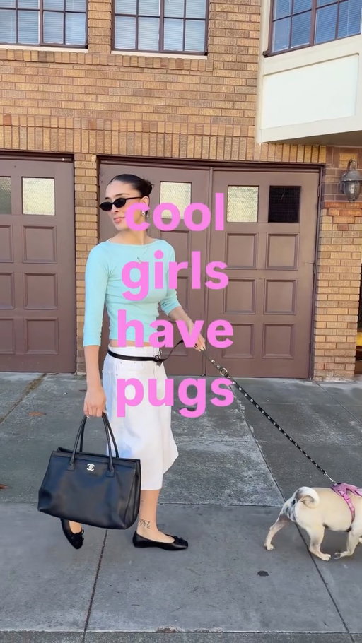 I don’t make the rules 🤏 #pugs #puglife #outfitinspo