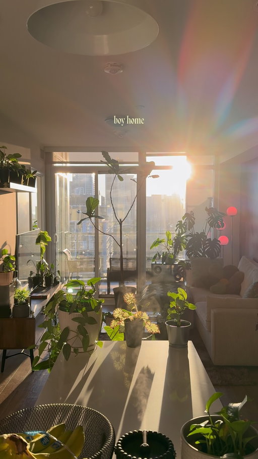 Who said men can’t decorate?😛

#interiordesign #houseplant #cozyhome #homeinspo #homedecor 

decor, homedecor, interiordesign, interiorstyling, cozy, cozyhome, homeinspo, organicmodern, plants, houseplants, myhome, instahome, boyapartment, apartment, ambientlighting, ambient, cozyhomes, aesthetichome, design, lifestyle, boyloft, loft, renterfriendly, smiski, betta, betta fish, small apartment, small home, city apartment, boy home