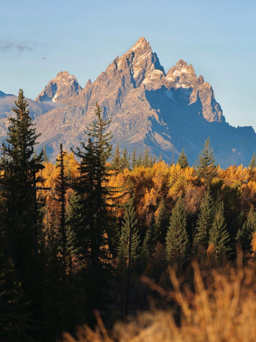 Autumn in Grand Teton National Park 🍂

#grandtetons #grandtetonnationalpark #gtnp #wyoming #jacksonwyoming