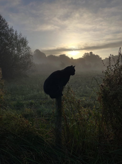 Autumn activities