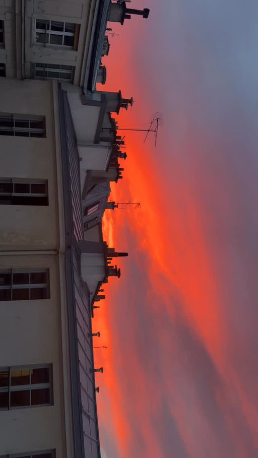Stories by vickycarrillat on Oct 3, 2026