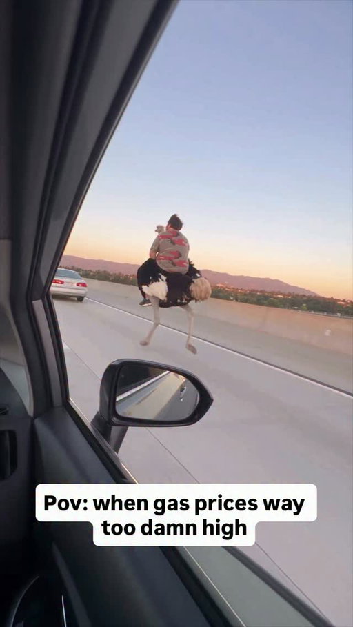 They recorded my ahh riding my ostrich cuz these gas prices way too high