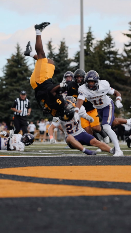 ⚫️🟡⚫️🟡⚫️🟡⚫️🟡⚫️🟡

🎥: @paulscatalog 

#GoBlackGoGold #BattleofWaterloo #Nopurple