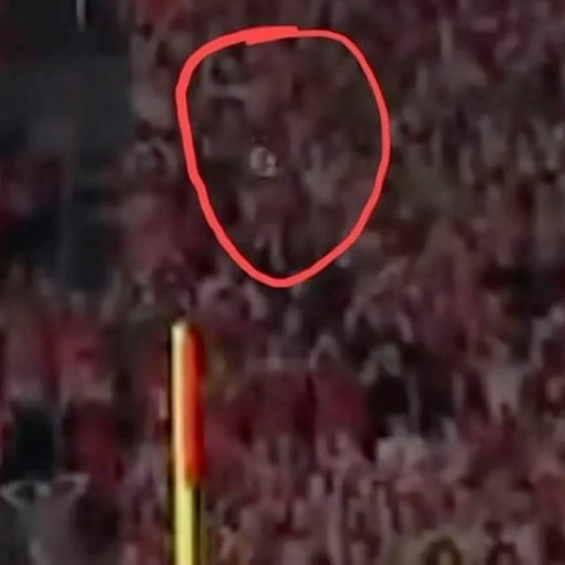 Free Virginia Tech. #ACC

Credits: @pachecotapez on TikTok