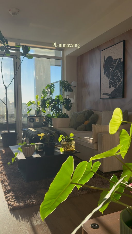 Still not sure I’m over the fact there is an actual tree in my living room😂

#interiordesign #houseplant #cozyhome #homeinspo #homedecor 

decor, homedecor, interiordesign, interiorstyling, cozy, cozyhome, homeinspo, organicmodern, plants, houseplants, myhome, instahome, boyapartment, apartment, ambientlighting, ambient, cozyhomes, aesthetichome, design, lifestyle, boyloft, loft, renterfriendly, smiski, betta, betta fish, small apartment, small home, city apartment, boy home