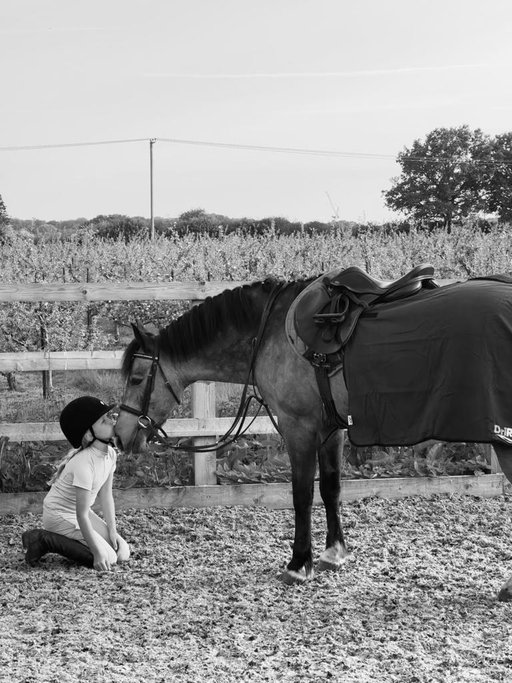 Beautiful Bambi ❤️ The time has come for Bambi to teach another little girl everything he taught Nelly 🥹❤️ we are so grateful for this beautiful pony , he kept Nelly safe , he taught her so much, and he will always hold a special place in all of hearts 🫶🏼 it has been a whirlwind and emotional couple of weeks 🥹 however, Bambi will be staying at the yard where Nelly rides so this certainly isn’t goodbye, just the end of an incredible era 🥹 We look forward to seeing his journey with his new rider ✨🫶🏼 We love you so much Bambi ❤️❤️❤️

(The last video is the moment just before Nelly handed him over to his new owner 🥹❤️)