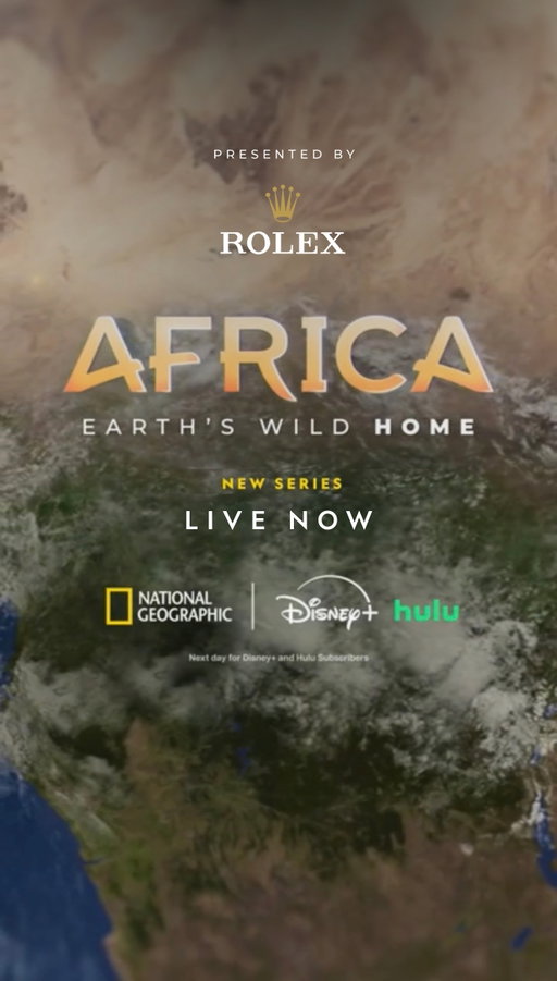 A simple branch becomes a fishing rod in the hands of these resourceful chimpanzees. This technique allows them to harvest algae without getting wet.
 
Through its partnership with the National Geographic Society and as part of its Perpetual Planet Initiative, #Rolex supports expeditions exploring and protecting remarkable places around the world, a selection of which are featured in Africa Earth’s Wild Home. #PerpetualPlanet
 
Presented by @Rolex. #AfricaEarthsWildHome is now streaming on @DisneyPlus and @hulu.