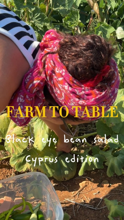 The village of Cyprus, making a very simple salad using some veg from the garden 

Not so much a recipe but more of a combination of beautiful produce seasoned with great quality olive oil of herbs, pomegranate molasses 

It really brings great joy being able to pick and cook with things you grew yourself thanks to God for the abundance, and sometimes its really these simple moments that are most fulfilling and bring most joy 

Thank you Anne @gamzepars1972 for building a lovely garden and helping me film haha she’s getting really good well done mate ❤️

#cyprusvillage #farmhouse #gardensalad #nature #love