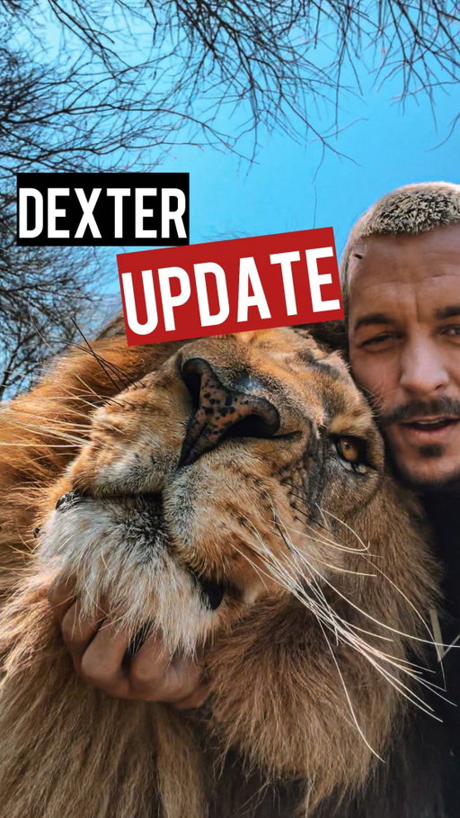 Here‘s Your long awaited Update! Thought i‘m going to keep it simple and easy. Selfie Video as raw and authentic as it gets.💪🏼🦁❤️🫡
•
COMMENT YOUR THOUGHTS BELOW👇🏼
•
#hakunamipaka #deanschneider #lion