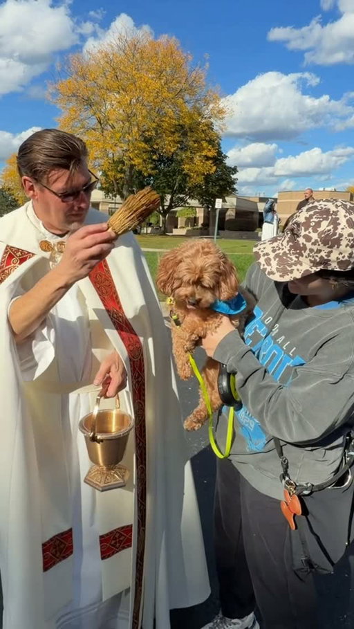 Nigel’s spot in Heaven is secured ✅ cause he got blessed today!! Blessing of the Animals in honor of the Feast of St. Francis of Assisi. It was so fun and so sweet to see all the animals 😭 little angels.

#Catholic #stfrancisofassisi #dogsofinsta #cavapoo #blessed