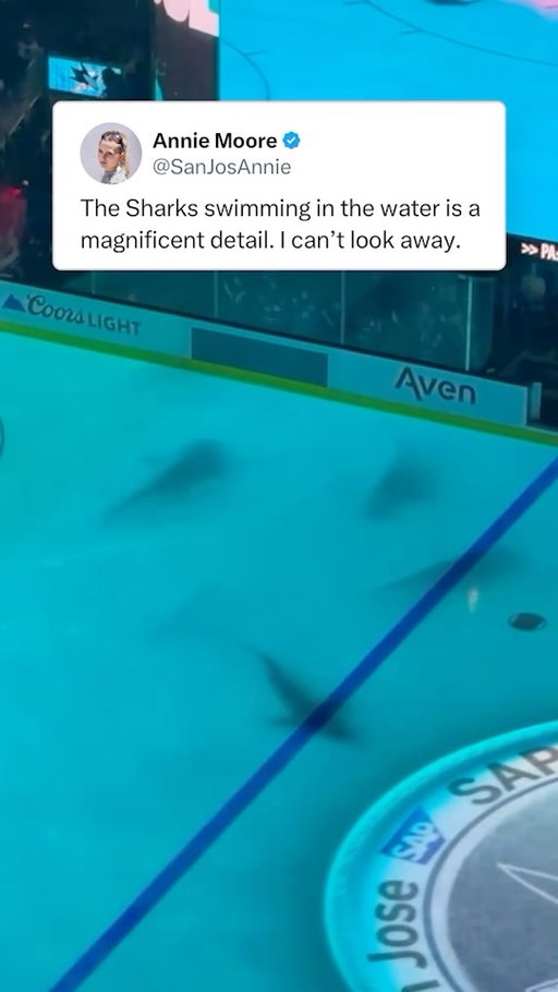 Pretty cool little detail during the San Jose Sharks’ intros on opening night 🦈