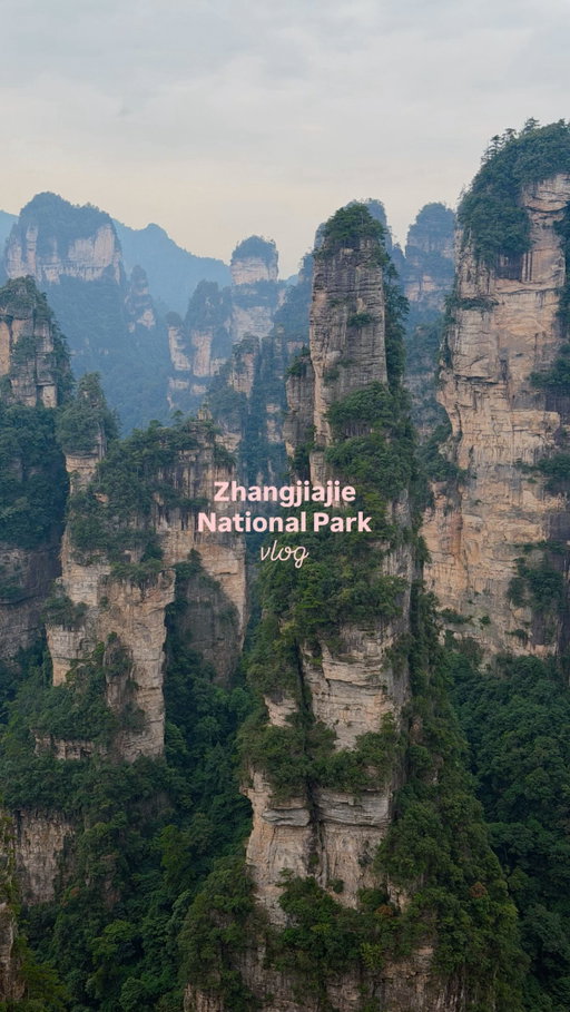 visiting the famous Avatar Mountains 🧚🏼‍♂️⛰️

📍Zhangjiajie National Forest Park

we got lucky with such beautiful clear weather and even got to be up front for the world’s tallest elevator! such an amazing day exploring this gorgeous national park, and tomorrow we’re going to Tienman Mountain 👀 

#outdoorsygirl #hikinggirls #hikingootd #zhangjiajienationalpark #americaninchina