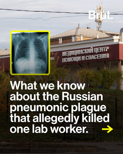 A laboratory worker in Russia’s Irkutsk region died after developing pneumonia, which prompted concerns about a possible case of pneumonic plague. 

Russian authorities said the cause of her pneumonia was unknown and reported no evidence linking the illness to her laboratory work. Contacts have been placed under medical observation, while international health officials monitor the situation. 

Here's what we know about the situation as of Tuesday, October 6th at 5a.m. EST. 

#plague #russia #news
