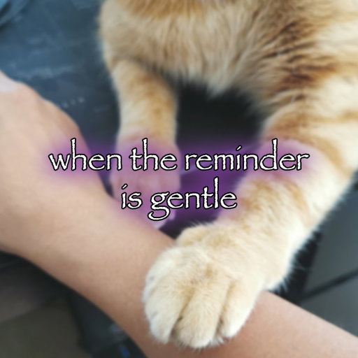 Tag someone to gently remind them of that thing they forgot