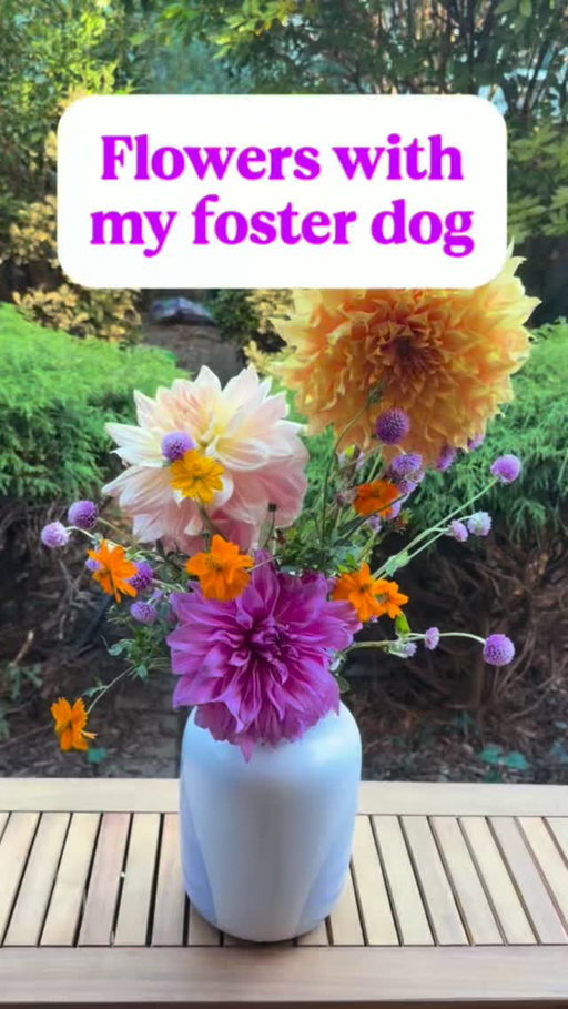 Flowers with my foster dog, Duke! Available for adoption through @muddypawsrescuenyc 🐶💐
#flowers #rescuedog