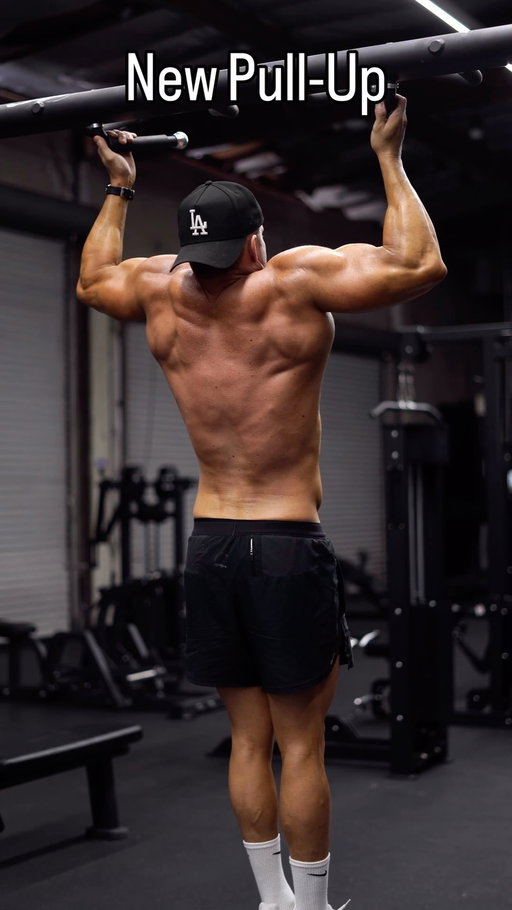 Have you tried these pull-ups?