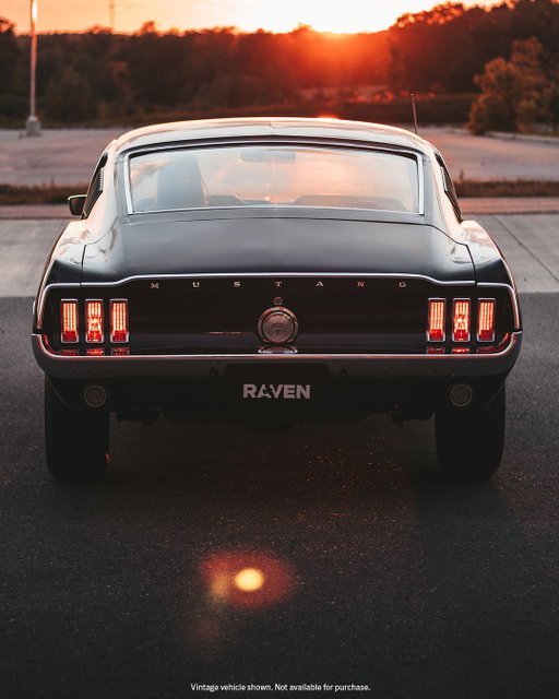 “Before owning Raven, my 1967 Mustang GT, I’d never driven a Mustang because I wanted that first experience to be in one I could call my own.

“My dream was to own a Mustang by age 30, and the fact that I found one so pristine is unreal. Raven, named after the color Raven Black, has an original engine, transmission, body, and paint. Plus, she only has 45,000 original miles on her S-Code 390 cubic-inch big block engine.”

—Natasha De Melis, @mustang.marie
📸: @taylorvisualco, Driving.ca, @bymertguven