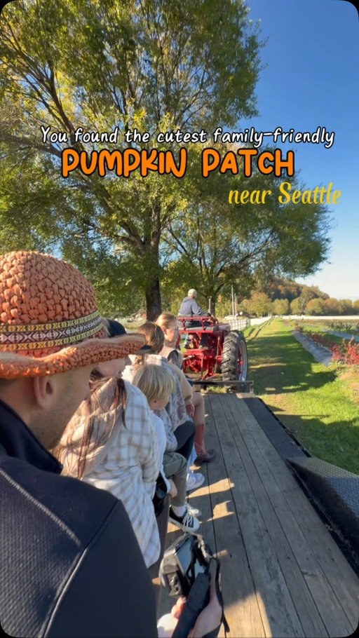 Seattle parents, SAVE THIS! 📍🎃

We found the cutest family-friendly pumpkin patch just outside Seattle! 🍂🐑

📍 Celebration Farms — Fall City, WA

✨ FREE admission
🚜 FREE tractor rides
🐑 FREE sheep petting (the cutest, fluffiest sheep!)
🎈 FREE play activities for kids
🎃 Pumpkin patch & farm shop
🧺 Perfect for family picnics, birthday parties & celebrations!

🕙 Hours: Friday–Sunday, 10 AM–6 PM

Such a cute fall spot to visit with the whole family! 🍁🤎

Save this for your next family adventure & tag someone you’d love to go with! 🫶