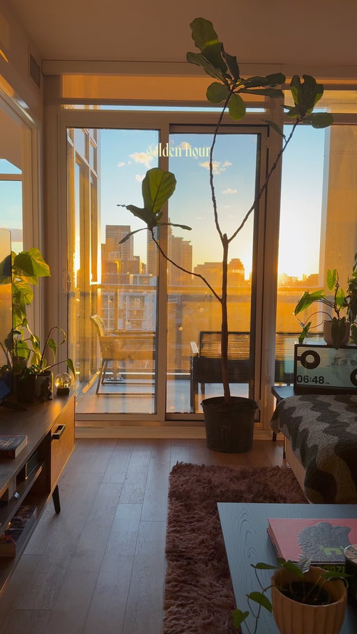 Best time of day🤩

#interiordesign #houseplant #cozyhome #homeinspo #homedecor 

decor, homedecor, interiordesign, interiorstyling, cozy, cozyhome, homeinspo, organicmodern, plants, houseplants, myhome, instahome, boyapartment, apartment, ambientlighting, ambient, cozyhomes, aesthetichome, design, lifestyle, boyloft, loft, renterfriendly, smiski, betta, betta fish, small apartment, small home, city apartment, boy home