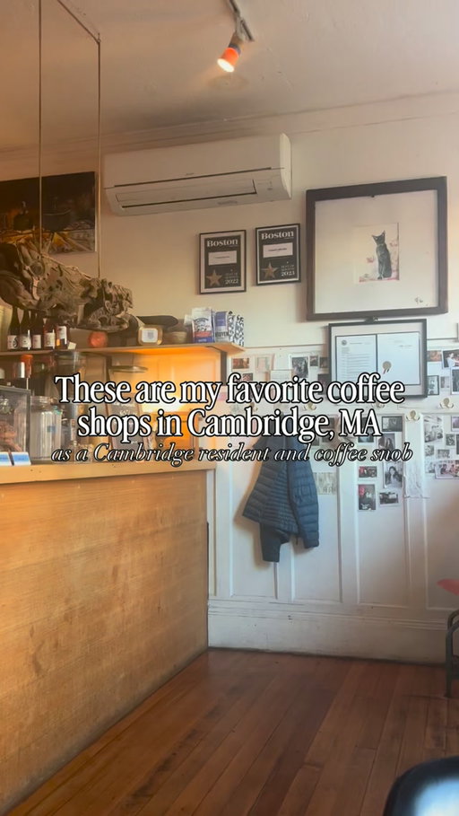 my favorite coffee shops in Cambridge: 2026 edition ☕️

there is so much good coffee in Cambridge, this feels like picking my favorite children, but let’s get into it:

current all around faves:
@broadsheetcoffee always 
@honeyscambridge 
@tilde.foh 

best aesthetics:
@faro__cafe 
@_imagine__________ 
@cicadacoffeebar 
@phinista.cafe Porter square 
@jamiesicecreamco 

best for remote work:
@pepitacoffeeco 
@vestercafe Kendall 
@bom.dough Inman square (weekdays) 

unique and cute:
@elmendorfbaking coffee shop / café inside a baking supply shop 
@lovestruckbooksandcafe café and wine bar inside a romance book store 
@prbboulangerie elaborate seasonal baked goods to go with your coffee
@cafebeatricecx has my favorite earl grey cookie and fairly affordable lattes 

so many other great ones I go to less often, and chains of course too (Flour, Pavement or non-local Daily Provisions are probably the better ones if you’re picking a chain … I’ve been getting tired of Blank Street’s ubiquity). I left out a few cult classics (1369, Circus, Revival Cafe because their non Cambridge locations are my true faves) so definitely share your other top spots in the comments if I left gems out. 

Otherwise, if you’re looking for the best coffee in Cambridge, the most beautiful café environments, a study spot for remote work in Cambridge, or a handful of fun and unique independent spots, hopefully this is a pretty comprehensive start and if you share my taste you’ll love these!