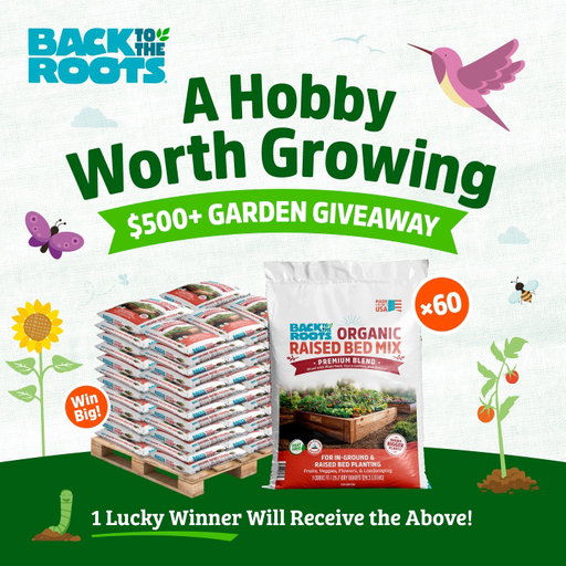 🍂🔥 $500 Giveaway - A Hobby Worth Growing! 🔥🍂

Sure - apple picking and pumpkin carving are great, but what about a fall hobby that you can grow into a lifelong passion?

This season, we’ve giving one lucky winner the ultimate raised bed prize pack to get back to their roots with a friend! 

60 1 cu.ft bags x Organic Raised Bed Soil 

To enter: 

1. Follow @backtotheroots_official.
2. Comment ‘WINNER’
3. Tag a friend you want to grow with. 

No purchase necessary. Contest ends 11:59 PM CT on 10/23/26. Open to US shipping addresses only. The winner will be notified via DM after contest end date. Void where prohibited. This contest is in no way sponsored, endorsed, administered by or associated with Instagram.

#organicgardening #gardeninggiveaway #gardengiveaway