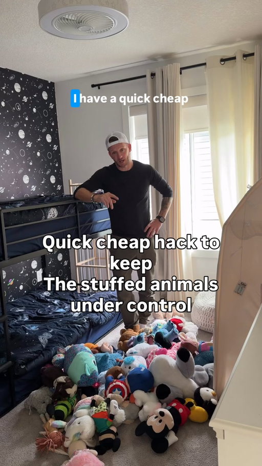 Who doesn’t love an easy functional storage option, especially if it helps organize the hundreds of stuffed animals your kids have piled up around the house. 

Comment storage… just kidding 

link is in the first comment for anyone looking to buy one.