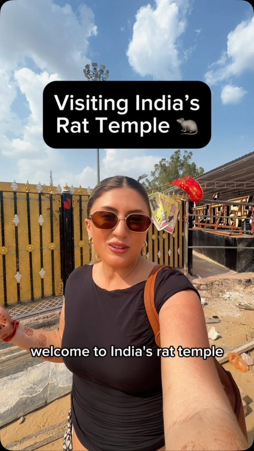 Did you know India has a RAT TEMPLE?! 🐀😱

Located in Rajasthan, India, Karni Mata Temple is home to over 25,000 rats that freely roam the temple grounds!

But here’s where it gets interesting… 👀 The rats are considered sacred, as devotees believe they are reincarnations of Karni Mata’s followers and family members. They’re protected, fed, and treated with incredible respect!

#whattheheck #travel #india #rattemple #karnimatatemple
