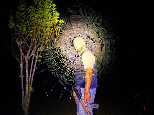 Word to jimmy brooks you can’t spin a spinner.