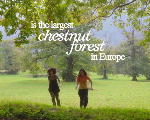 We are obsessed with chestnuts and will be returning next autumn to @switzerland 🌰 especially Castasegna where you can harvest up to 2kg of chestnuts per person per day….

While we were eating breakfast in front of our Castasegna hotel (Das Pöstli), we saw a bus with a Lugano sign and immediately decided to hop on the very next day. Three hours through mountains and along Lake Como, we arrived at their Autumn Festival 🍂 filled with music and tasty treats I’d never seen before! 

Next Autumn, I want to go back to experience Ascona’s dedicated Chestnut Festival! #chestnutgirls #graubunden #ticino !!!

Thank you @kalepipe for joining this spontaneous adventure :’) Everyday with you is so peaceful and fun 🤍🥹