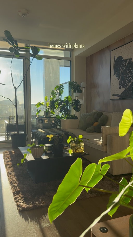 🌱🍃🌳🍁😋

#interiordesign #houseplant #cozyhome #homeinspo #homedecor 

decor, homedecor, interiordesign, interiorstyling, cozy, cozyhome, homeinspo, organicmodern, plants, houseplants, myhome, instahome, boyapartment, apartment, ambientlighting, ambient, cozyhomes, aesthetichome, design, lifestyle, boyloft, loft, renterfriendly, smiski, betta, betta fish, small apartment, small home, city apartment, boy home