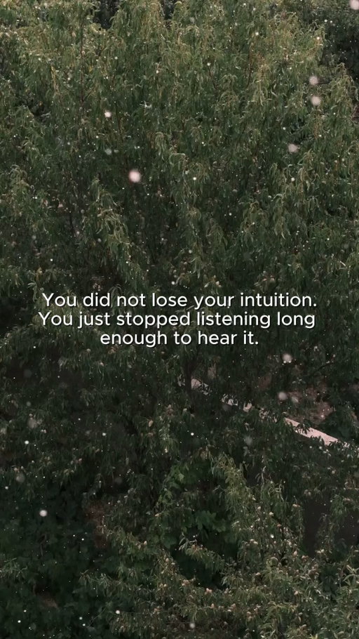 Not every answer arrives through logic or careful analysis.

Sometimes you notice a subtle shift, feel drawn toward an opportunity, or sense that something doesn't quite fit before you can explain why. Those feelings aren't always right, but they're worth exploring rather than automatically pushing aside.

Learning to distinguish intuition from fear and old patterns helps you make decisions with greater clarity.

#IntuitiveLiving #TrustYourself #SelfAwareness #InnerWork #MindsetShift