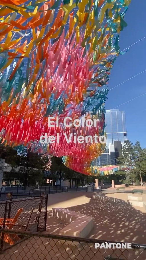 El Color del Viento 🌈🎶