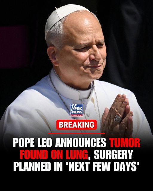 BREAKING: Pope Leo XIV announced Sunday that he will undergo surgery to remove a small nodule from his lung, revealing the unexpected health concern to thousands of faithful gathered in St. Peter's Square following his traditional Angelus prayer.

The 71-year-old pontiff said doctors discovered the "localized" nodule at a "very early stage" and recommended its removal.

The surgery is scheduled for early next week.