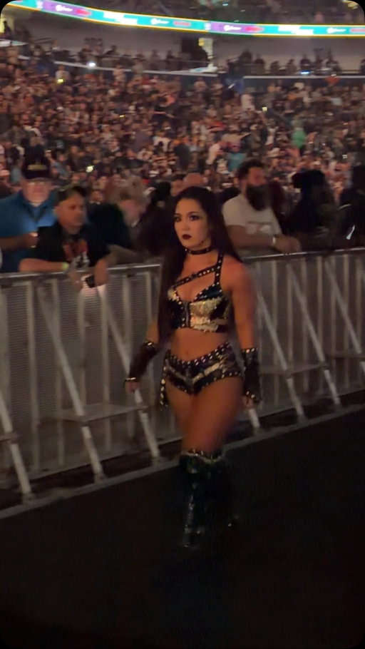 The women in the money in the bank ladder match were beat up after the match #wwe