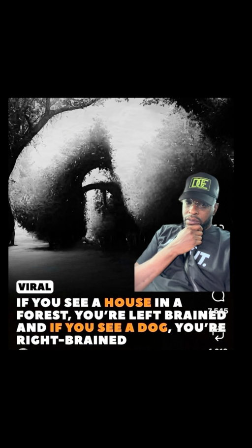 If you see something else, what side brained are you? 🫣🤯