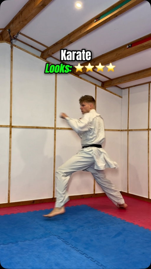 Ranking martial arts