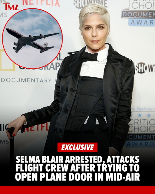 😱✈️ Selma Blair allegedly caused chaos aboard a Delta Airlines flight ... punching one flight attendant and biting another after trying to open the plane's door in the middle of the flight.

Full story at the link in bio. 🚨