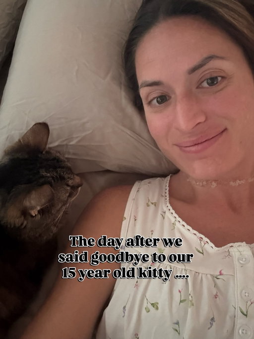 The full story: 
We didn’t intend to get a new kitten or cat for a while….
but here we are.