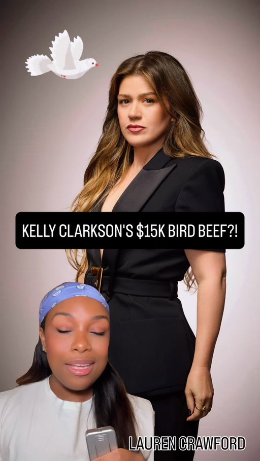 Not Kelly Clarkson and a Brooklyn store going back and forth over a $15,000 BIRD. 

There are statements, receipts and even a little shade involving Kelly’s own music.

The girls are fighting, and I am INVESTED.

#kellyclarkson
