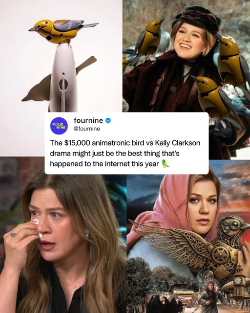 We stand with Kelly Clarkson 🦜✊
#kellyclarkson #bird #prettywoman