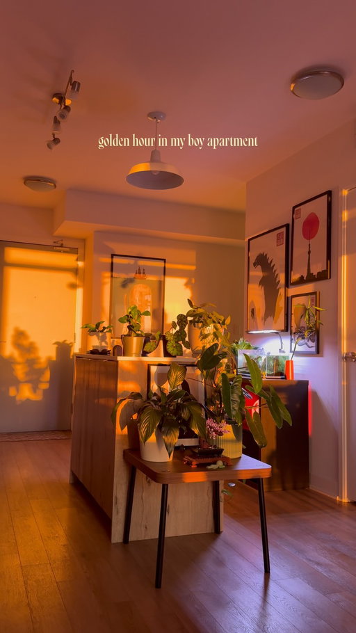 I refuse to ever get bored of this time of day😤

#interiordesign #houseplant #cozyhome #homeinspo #homedecor 

decor, homedecor, interiordesign, interiorstyling, cozy, cozyhome, homeinspo, organicmodern, plants, houseplants, myhome, instahome, boyapartment, apartment, ambientlighting, ambient, cozyhomes, aesthetichome, design, lifestyle, boyloft, loft, renterfriendly, smiski, betta, betta fish, small apartment, small home, city apartment, boy home