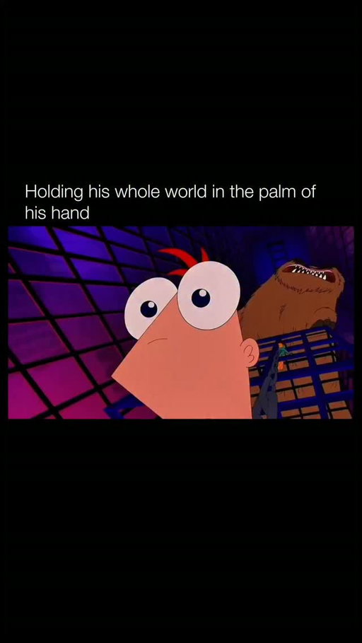 🎬

Phineas and Ferb is an American animated musical comedy series that aired on Disney Channel (and later Disney XD) from 2007 to 2015, created by Dan Povenmire and Jeff “Swampy” Marsh. The show follows stepbrothers Phineas Flynn and Ferb Fletcher, who spend their endless summer vacation inventing increasingly elaborate and imaginative projects—ranging from giant roller coasters to time machines—while their older sister Candace tries (and usually fails) to get them in trouble with their parents. Running parallel to their antics is the secret double life of their pet platypus, Perry, who works as Agent P, battling the hapless evil scientist Dr. Heinz Doofenshmirtz. With its quick pacing, clever writing, recurring gags, and original songs in nearly every episode, the series blends inventive storytelling with lighthearted humor that appeals to both kids and adults.

The show became a major hit for Disney, running for four seasons plus numerous specials, TV movies, and a 2011 feature film, while earning critical praise for its creativity, character design, and musical numbers. Its catchy tunes, memorable catchphrases, and ensemble cast—including Vincent Martella, Thomas Sangster, Ashley Tisdale, Dee Bradley Baker, and Dan Povenmire himself as Doofenshmirtz—helped it build a devoted fanbase and strong merchandise presence. Even after its original run ended, *Phineas and Ferb* has remained popular through reruns, streaming, and occasional revivals, celebrated for its optimistic tone, inventive plots, and ability to balance silly fun with genuine heart.